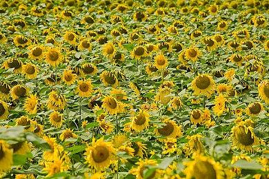 《暗黑破坏神4》各平台对比视频 优化非常好